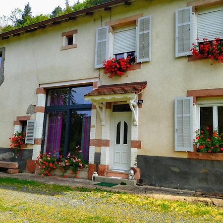 Ferienwohnung Le Logis Aux Digitales La Croix-aux-Mines Exterior foto
