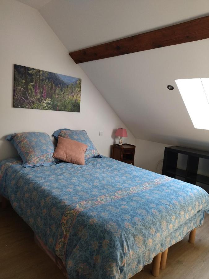 Ferienwohnung Le Logis Aux Digitales La Croix-aux-Mines Exterior foto