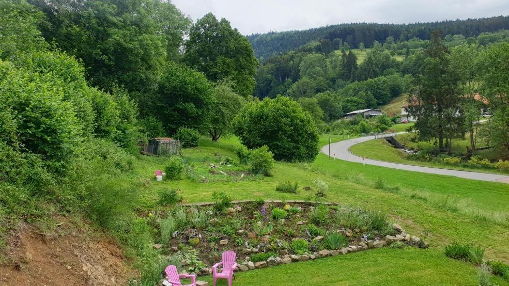 Ferienwohnung Le Logis Aux Digitales La Croix-aux-Mines Exterior foto