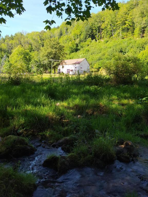 Ferienwohnung Le Logis Aux Digitales La Croix-aux-Mines Exterior foto