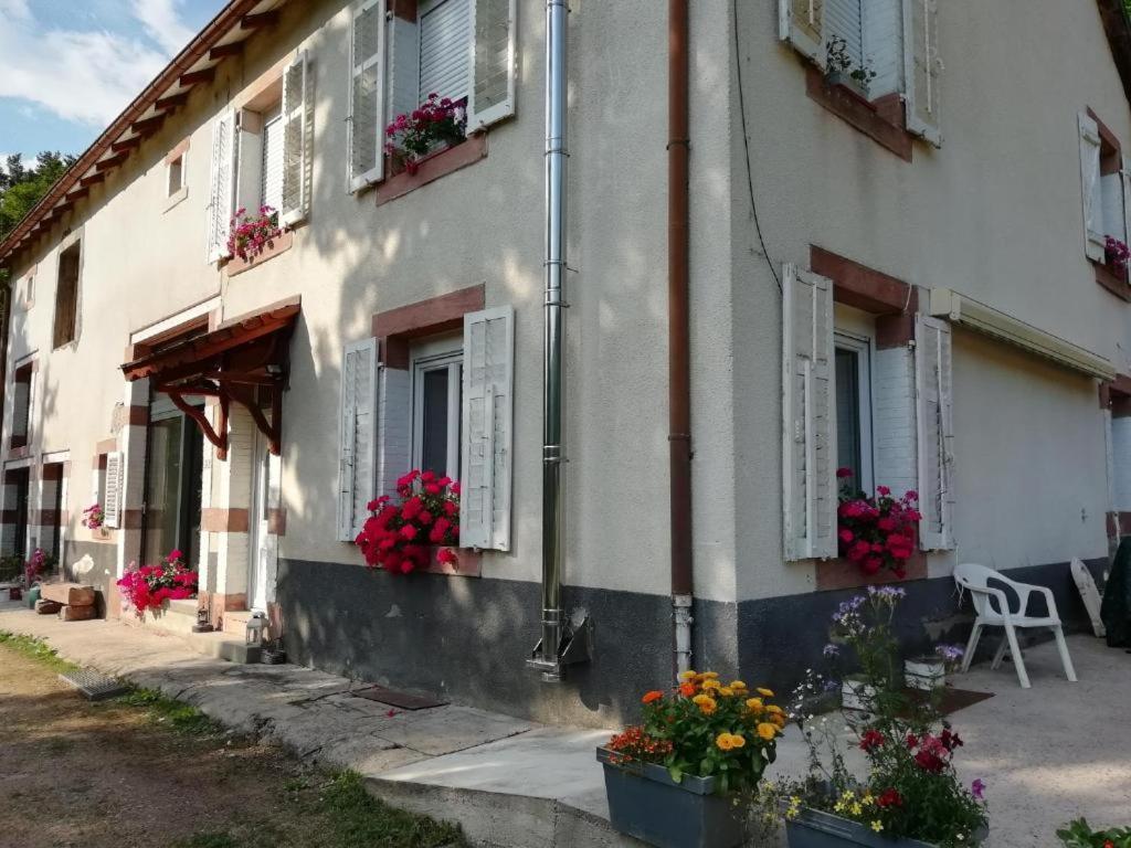 Ferienwohnung Le Logis Aux Digitales La Croix-aux-Mines Exterior foto