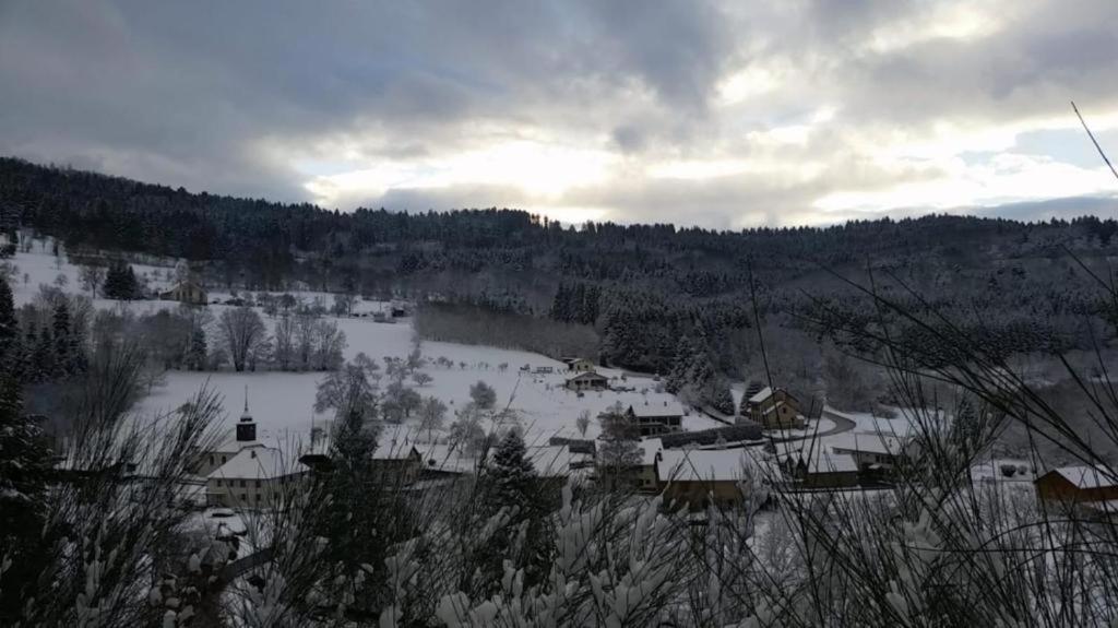 Ferienwohnung Le Logis Aux Digitales La Croix-aux-Mines Exterior foto