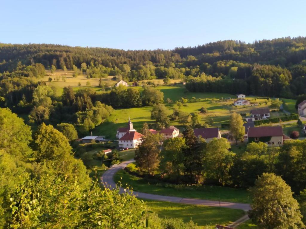 Ferienwohnung Le Logis Aux Digitales La Croix-aux-Mines Exterior foto
