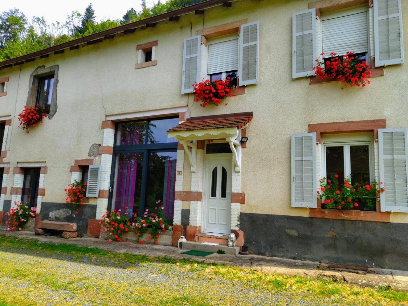 Ferienwohnung Le Logis Aux Digitales La Croix-aux-Mines Exterior foto